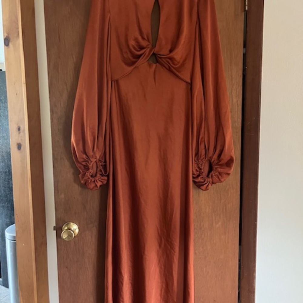 Significant Other Demi Backless Long-Sleeve Column Gown